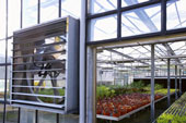 Solar Fan for Greenhouse