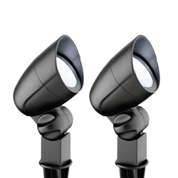 Solar Spotlight