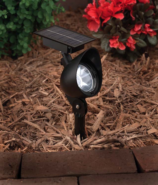 Solar Spotlight