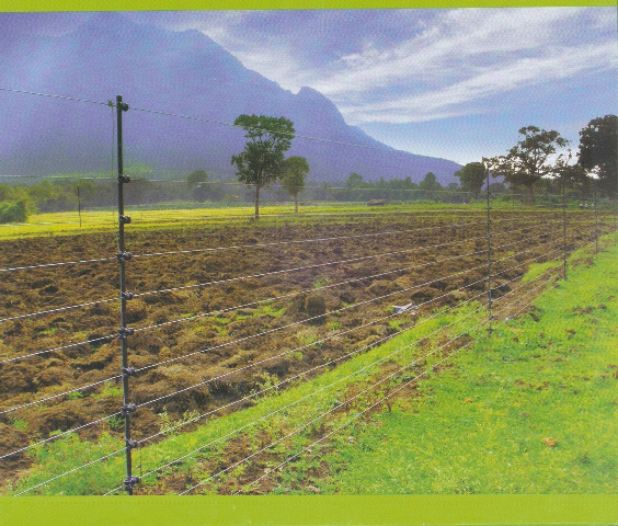 Solar Fencing