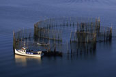 Solar Powered Lighting for Fish Farming