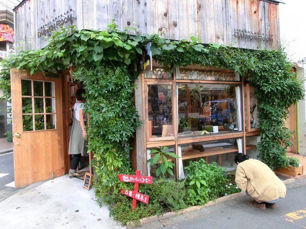 Vertical Garden