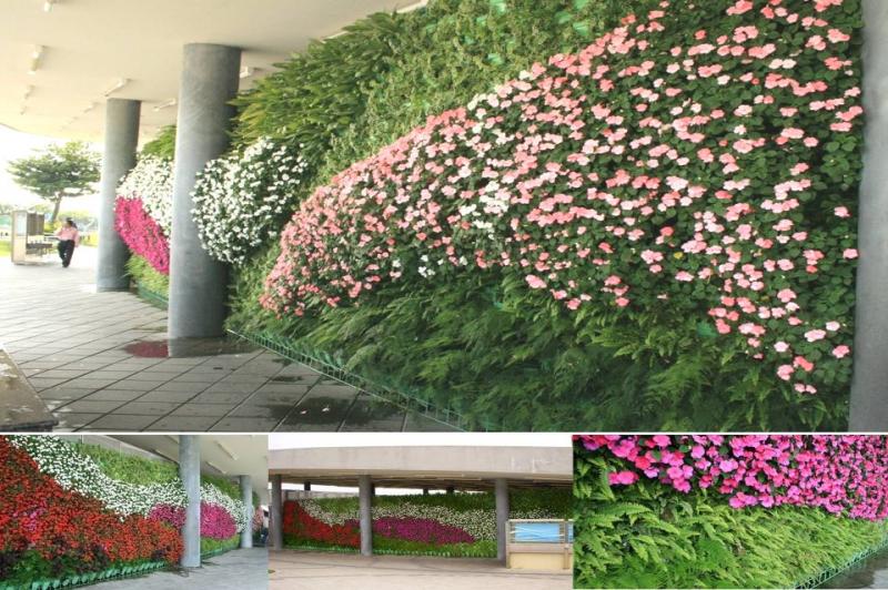 Vertical Garden