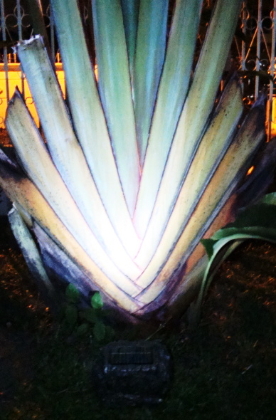 Solar Rock Spot Light As Uplight