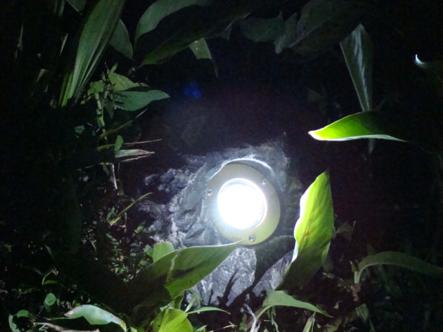 Solar Rock Spot Light (SC419)