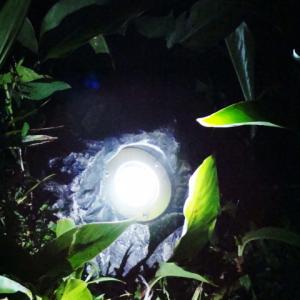Solar Rock SPotlight