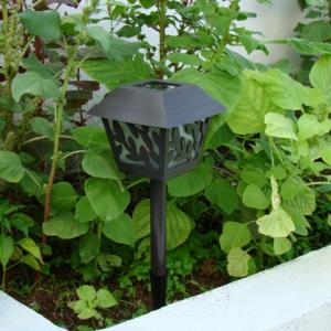 Solar Garden Light