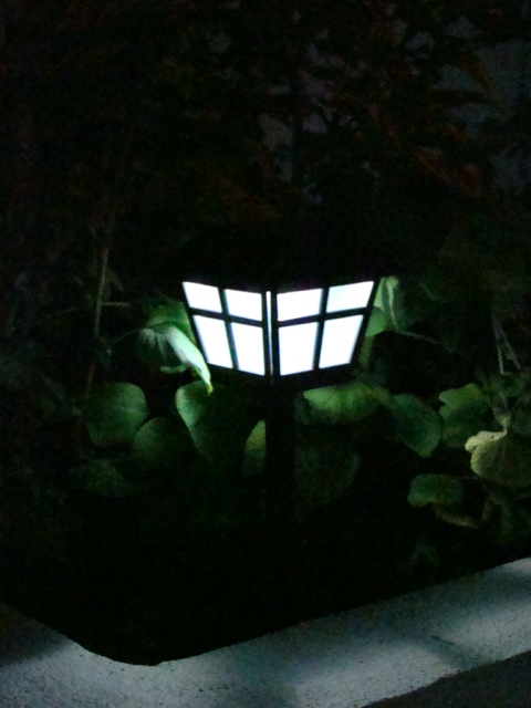 Solar Garden Light