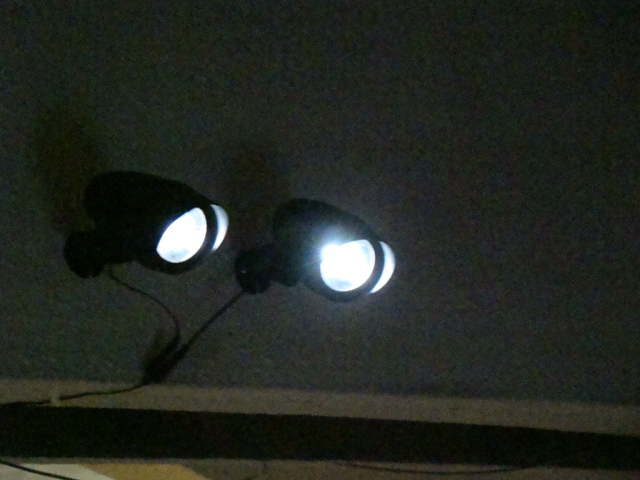 Solar Flood Light SC6002