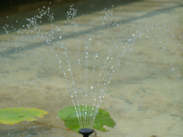 Solar Fountain Pump