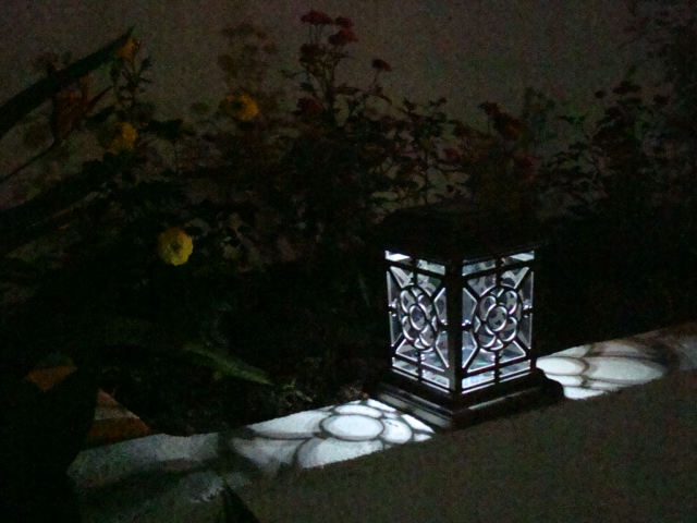 Solar Garden Light