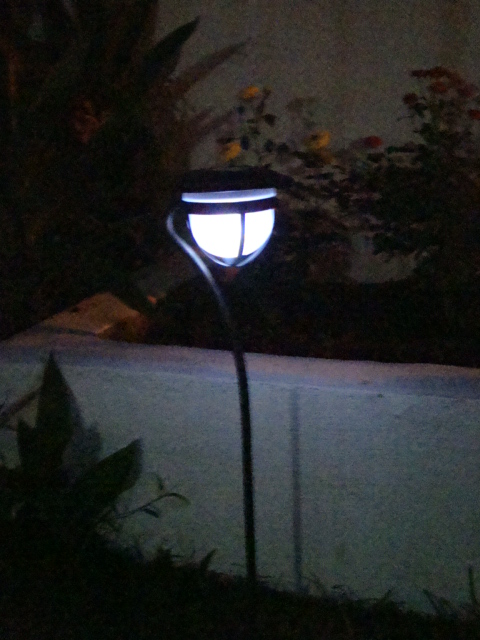 Solar Garden Light