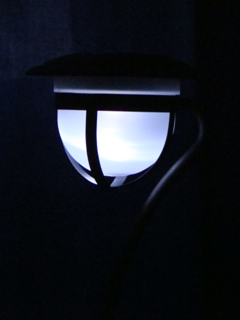 Solar Garden Light
