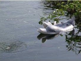 Dolphin Solar Power Fountain Pump