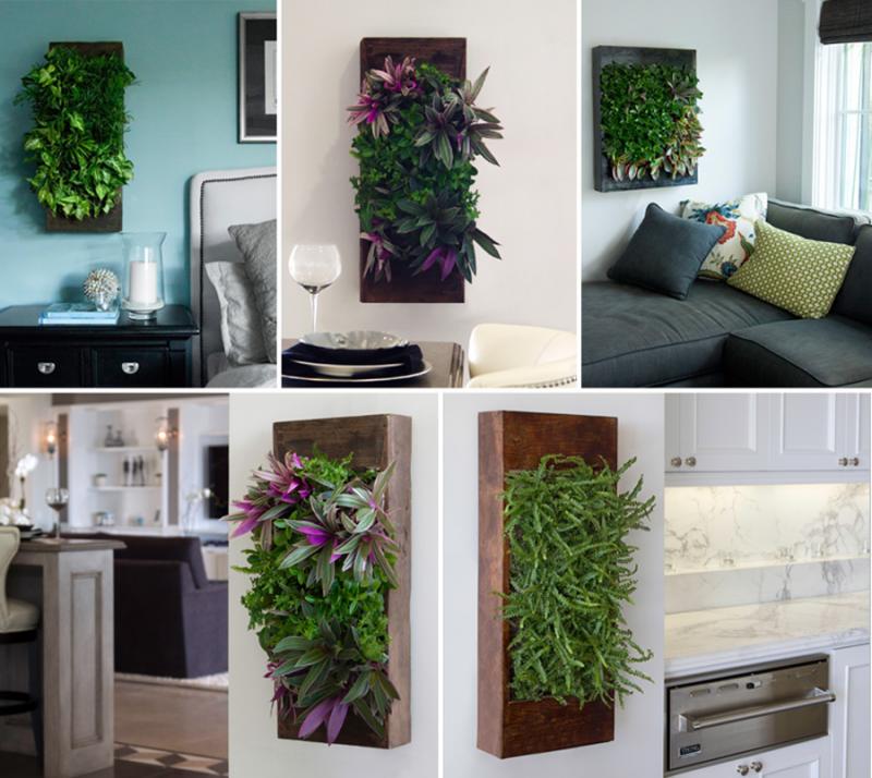 Living Wall Panel
