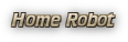 Home Robot