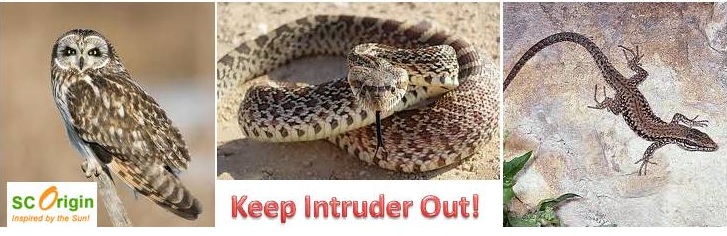 Keep Intruder Out!