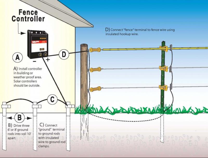 Electric Fence & Energizer
