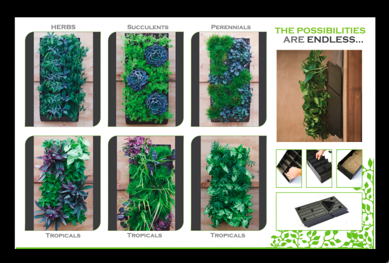 Living Wall Panel