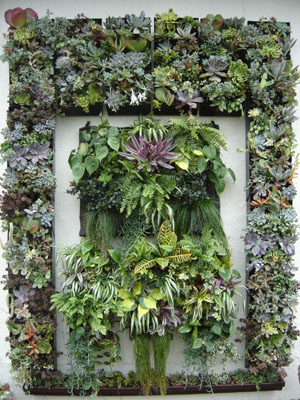 Living Wall Panel
