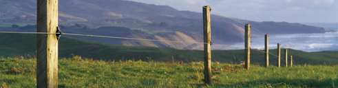 Electric Fence