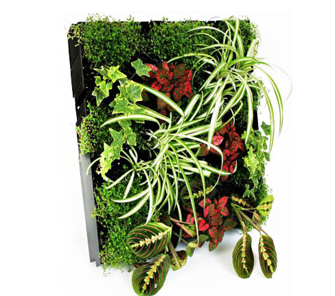 Living Wall Panel