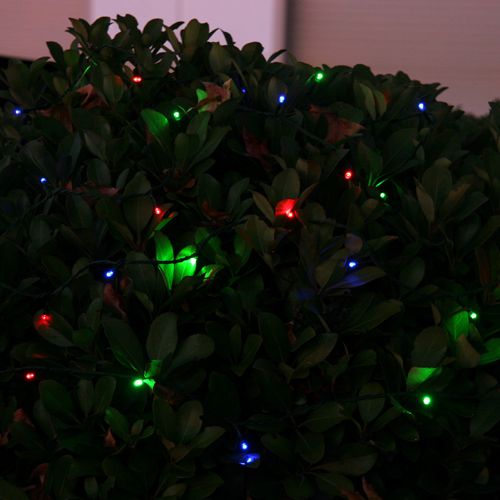Solar Festive